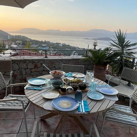 Pines & Sea ソフィコ