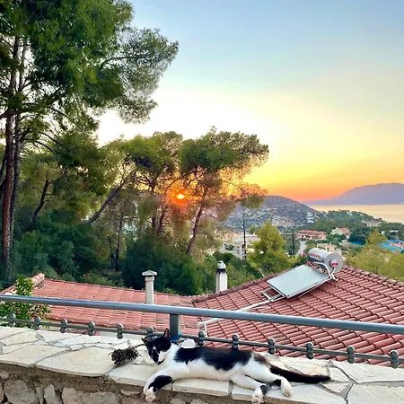 Pines & Sea * Sofiko