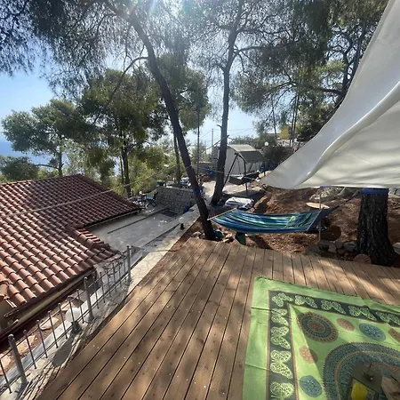 Pines & Sea * Σοφικό