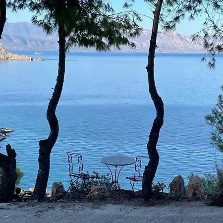 Pines & Sea Сasa de vacaciones Sofiko