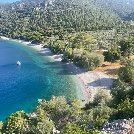 Pines & Sea *