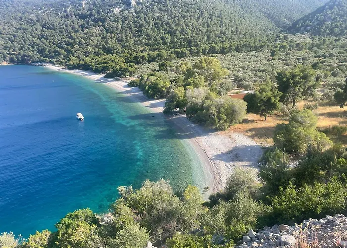 Pines & Sea *